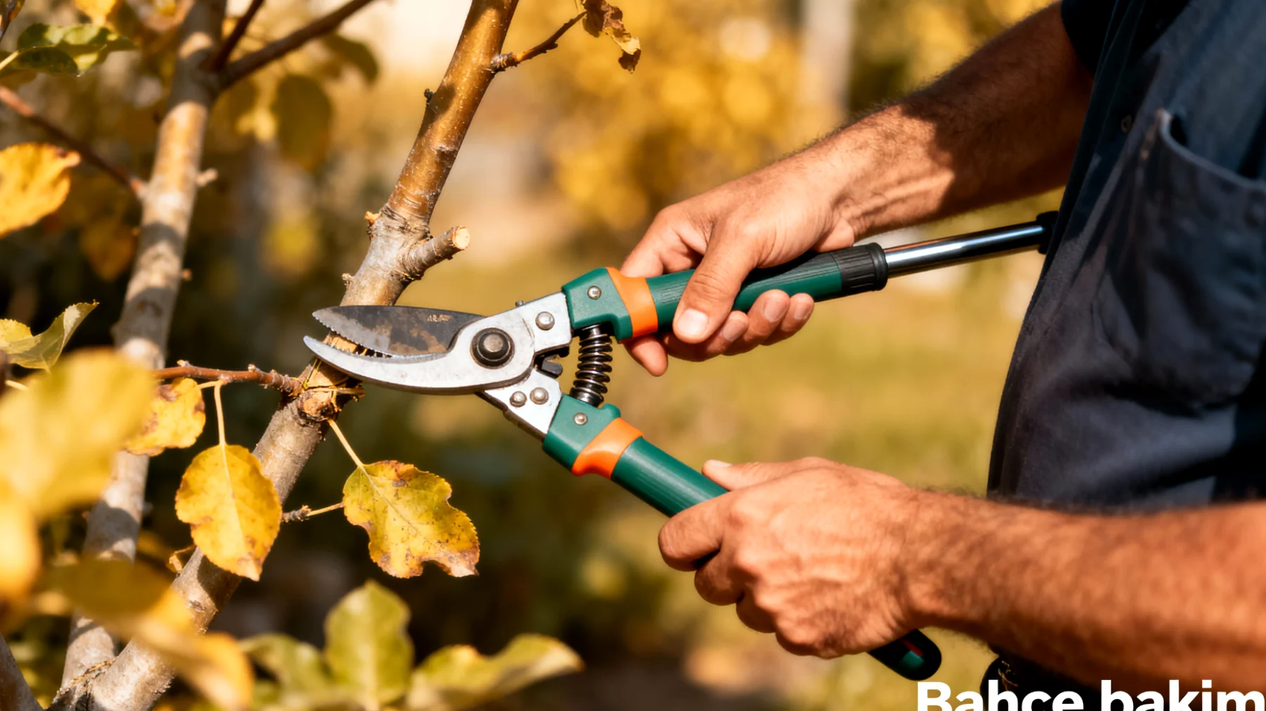 Teleskopik budama makası"