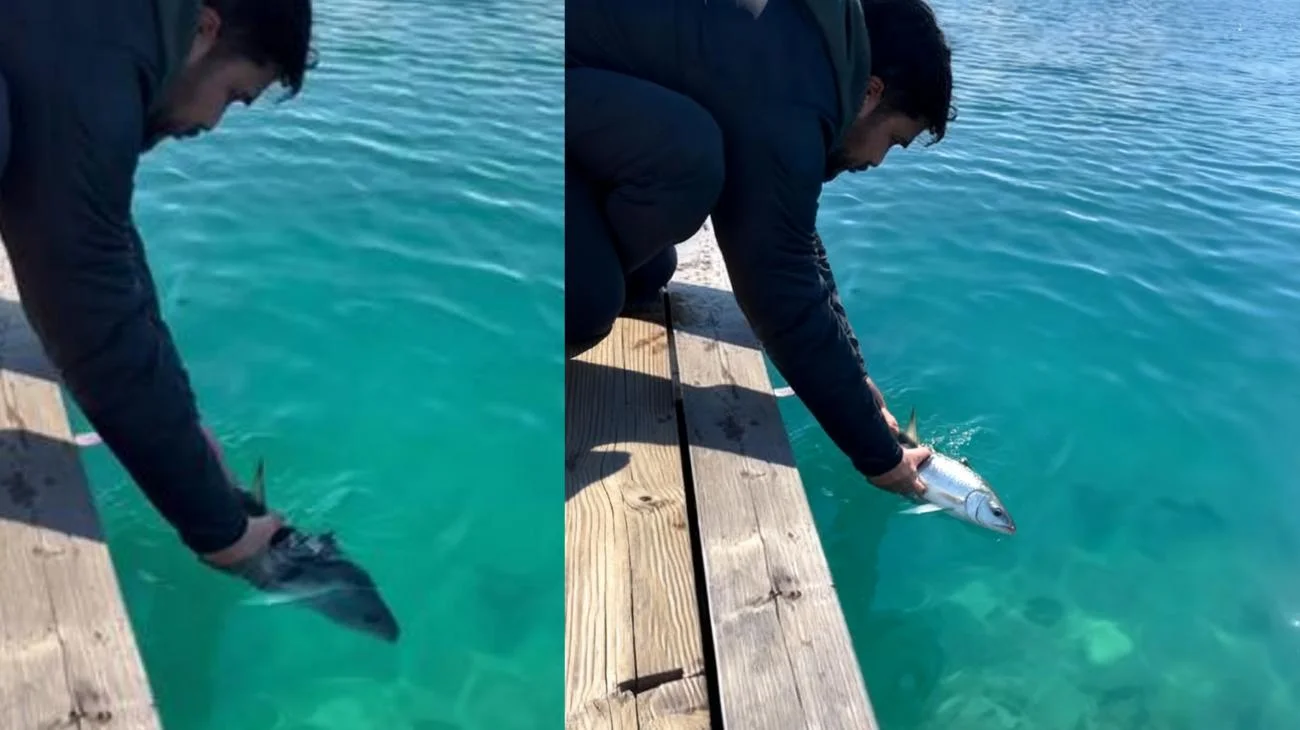 Balığa kamera taktım #kesfet #fypage"